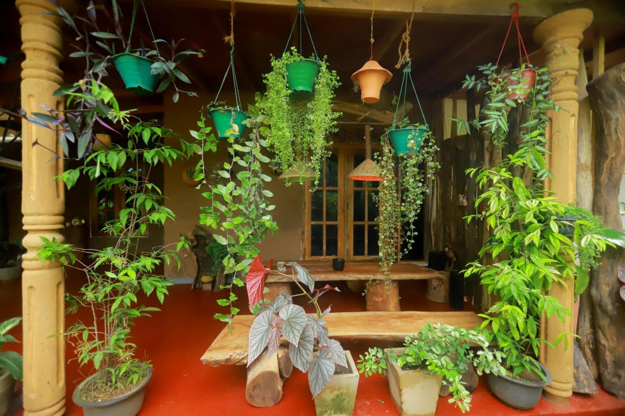 Dinna Nature Hostel Σιγκιρίγια Εξωτερικό φωτογραφία
