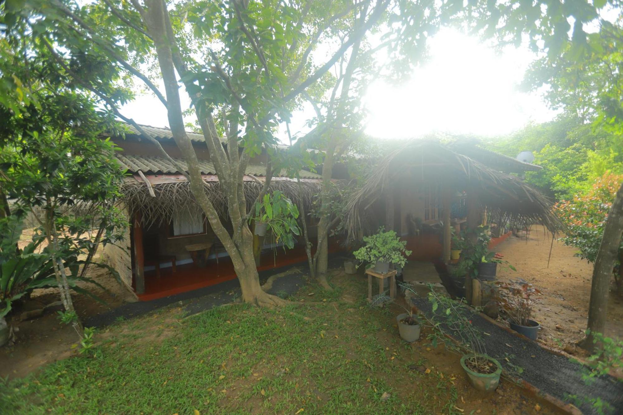 Dinna Nature Hostel Σιγκιρίγια Εξωτερικό φωτογραφία